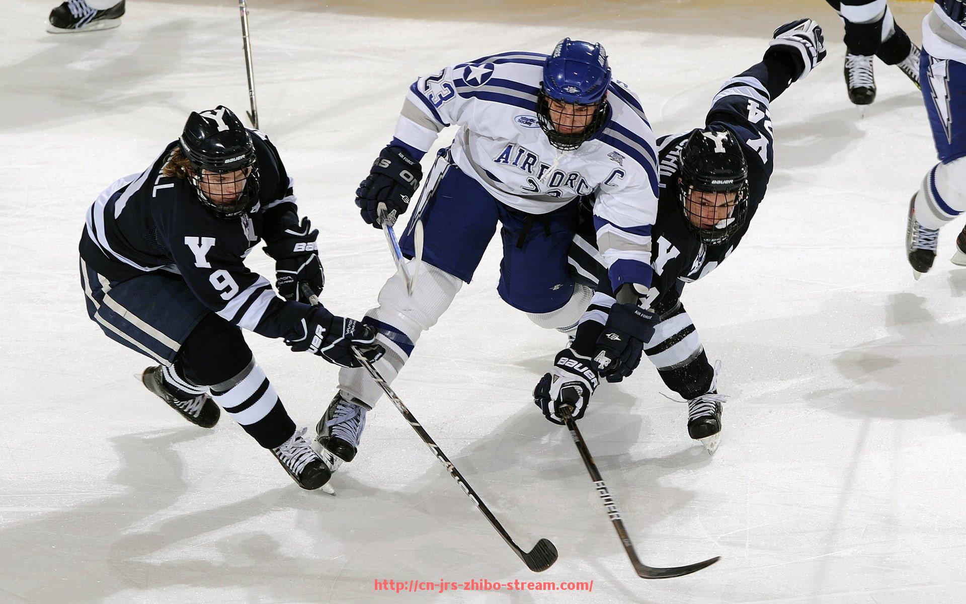 jrs直播-德甲联赛现有参赛球队情况及整体介绍